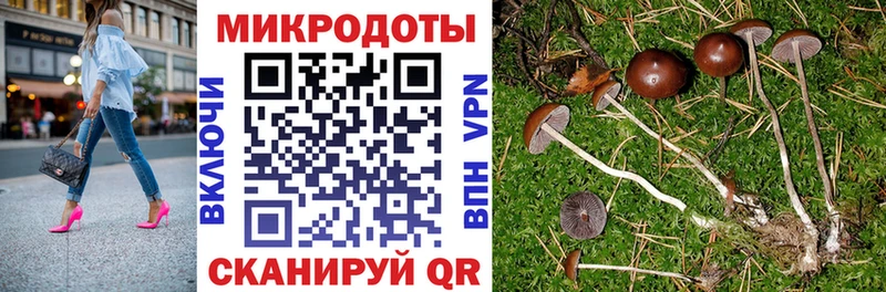 Купить  Пласт  Галлюциногенные грибы ЛСД 