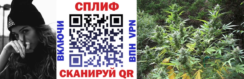 Бошки Шишки планчик  Купить где  Пласт 